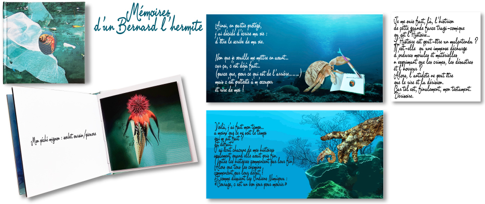Mémoires d'un Bernard l'hermite