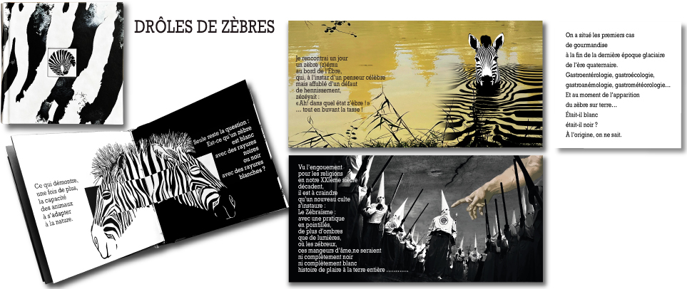 Dr&ocirc;les de z&egrave;bres