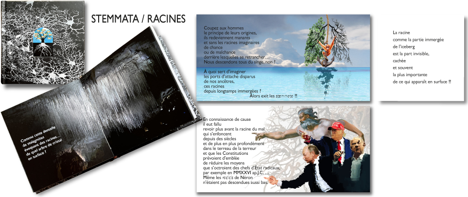 Dr&ocirc;les de z&egrave;bres